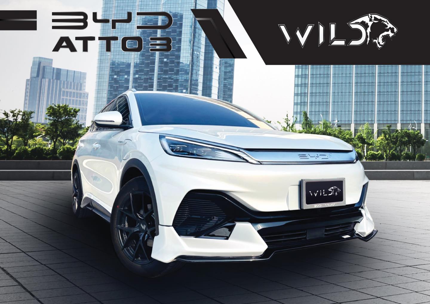 BYD ATTO3  WILD 2022 V.1